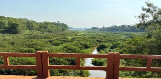 Adolescente Resgatada: PM Evita Suicídio em Ponte de Guaraci