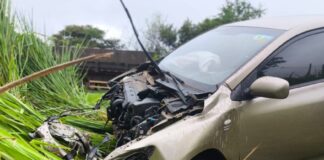 Tragédia na SP-425: Colisão Frontal em Olímpia Ceifa Vida de Adolescente