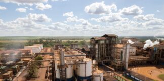 Tereos Conquista Redução de 41% em Acidentes com Afastamento na Última Safra