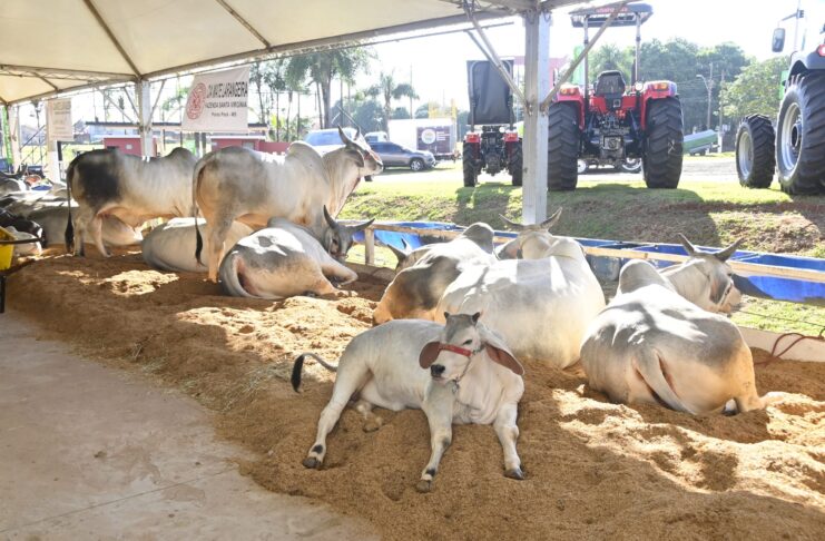 Olímpia+Agro 2026: Três Dias de Imersão e Inovação para o Agronegócio Regional